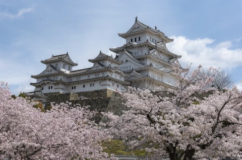 Japón